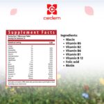 B vitamins blend to support energy, mood, and brain health in VitaCed B-Complex by Cedem